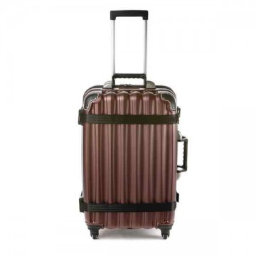 Wine Luggage-Vin Garde Valise