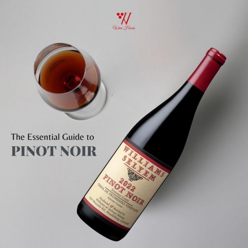 The Essential Guide to Pinot Noir